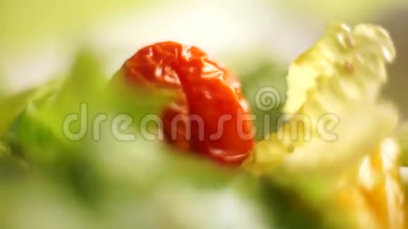 莴苣和番茄特写镜头视频的预览图