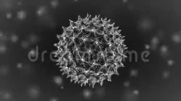 病毒循环与阿尔法马特视频的预览图