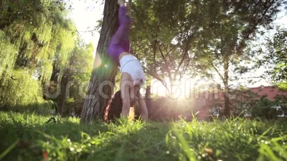 运动的女人做瑜伽运动倒立在树旁视频的预览图