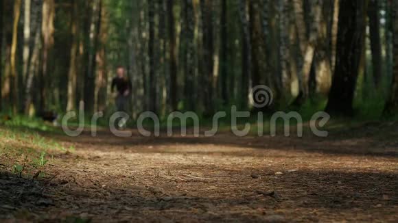 失焦的成熟慢跑者在林中奔跑视频的预览图