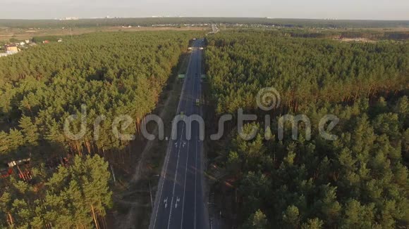 柏油路在松林有一辆车空中录像视频的预览图