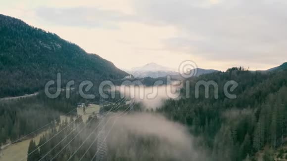 山间的雾状森林视频的预览图