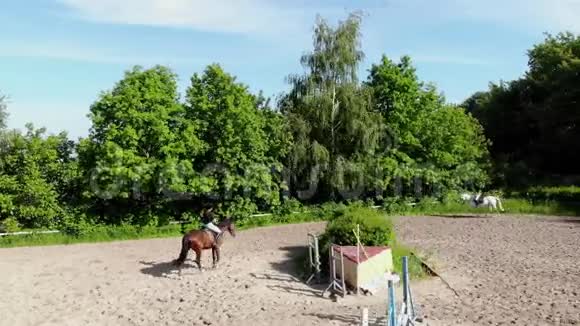 从上面看空中视频拍摄训练沙场操场骑手骑师骑马表演各种视频的预览图