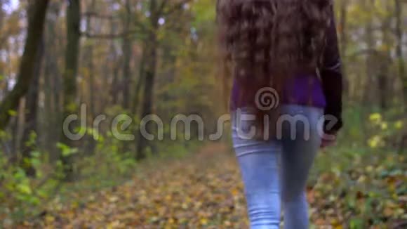 年轻美丽的女人留着长发在秋天的森林里散步视频的预览图