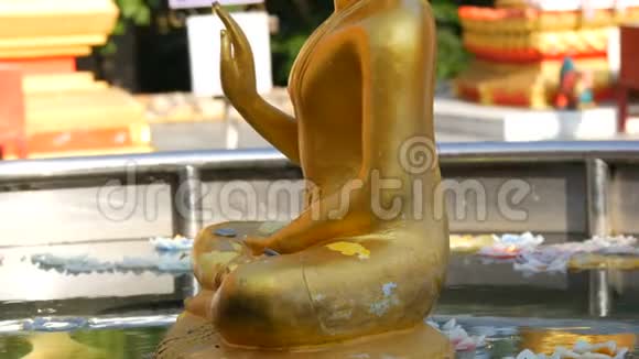 泰国芭堤雅2017年12月18日在一个小池塘里坐着的佛像上面漂浮着蜡烛视频的预览图
