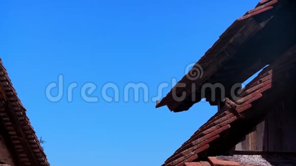 鸟儿坐在高高的瓷砖屋顶上白色的墙壁和背景天空上的庭院视频的预览图