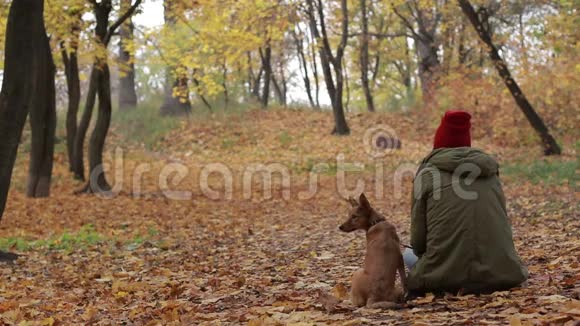 秋天公园女人和她的狗的肖像视频的预览图