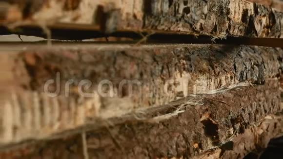 锯木厂货架上堆放整齐的木材视频的预览图