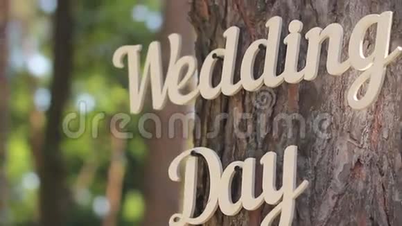 在树上结束古老的木制铭文婚礼视频的预览图