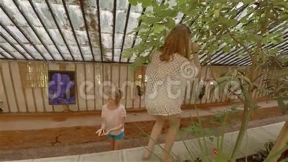 家人母亲和两个女儿在克里米亚的花园里散步视频的预览图