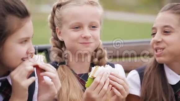 女大学生穿着同样的校服坐在花园里的长凳上吃三明治笑着视频的预览图