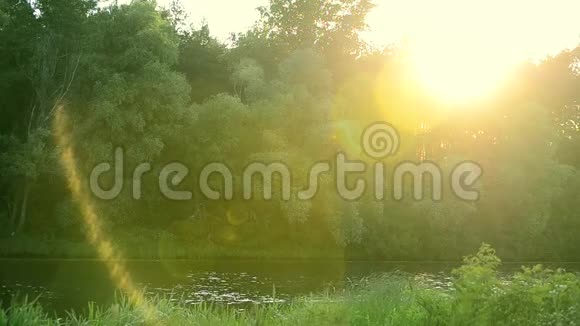 阳光明媚的一天夏天的小湖或小河视频的预览图