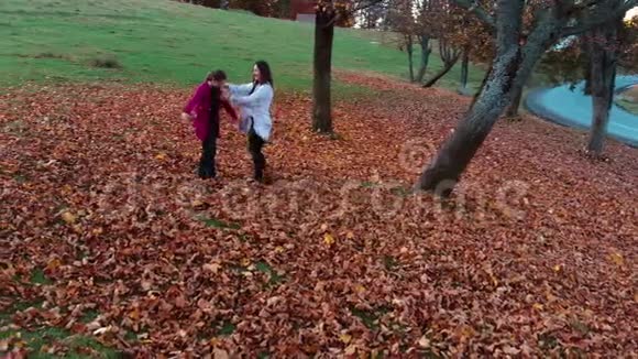年轻漂亮的母亲和她的小女儿在秋天的森林里玩得很开心他们跳起来把树叶扔到空中视频的预览图