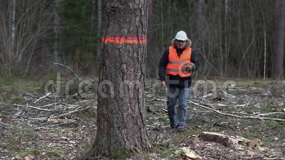 森林检查员与平板电脑接近最后一棵树的清晰砍伐森林视频的预览图