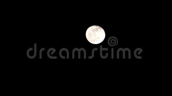 黑色夜晚的满月视频的预览图