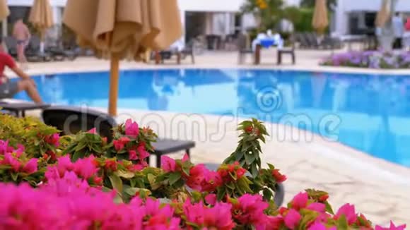 日光浴卧室靠近游泳池在埃及度假村有蓝色的水视频的预览图