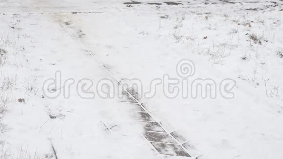 冬天在公园里散步时穿着时髦的年轻人滑倒了失去了平衡视频的预览图