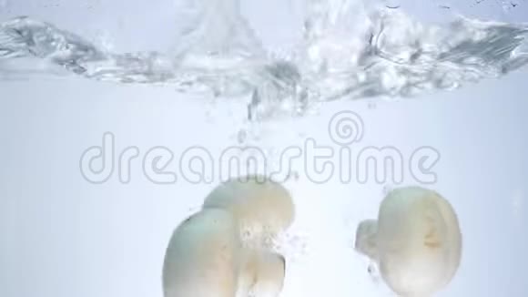 蘑菇掉进水里小蘑菇慢慢地掉进水里造成水的飞溅和气泡视频的预览图