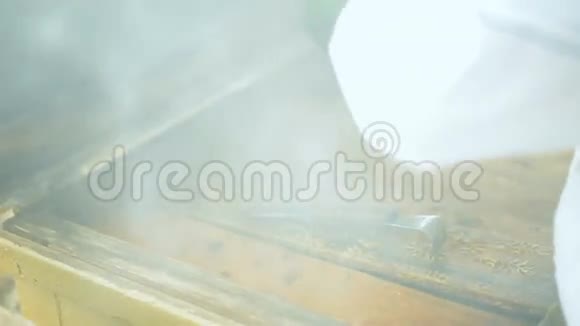 养蜂人他在一个乌勒斯吸烟以平息蜜蜂和检查他们如何收获蜂蜜蜜蜂吸烟者视频的预览图