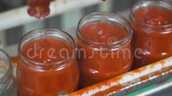 工业园艺和种植蔬菜制作番茄酱视频的预览图