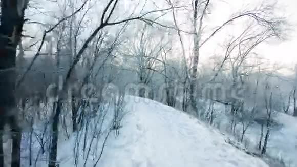 雪天早晨的小巷视频的预览图