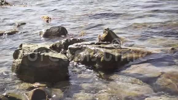 海浪缓缓地在石岸上翻滚视频的预览图