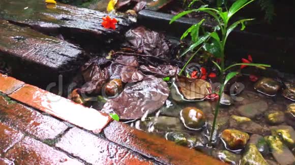 雨天花园有缓流水溅视频的预览图