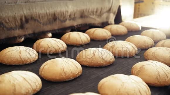 面包烘焙食品厂生产新鲜产品视频的预览图