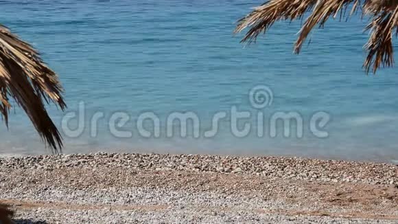 粒沙热带海滩碧海浪洗岸黑山海滩用棕榈树做成的伞视频的预览图