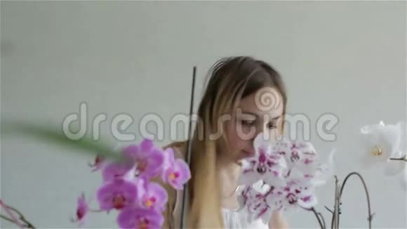 年轻漂亮的女人穿着白色的衣服正在照顾娇嫩的五颜六色的兰花视频的预览图