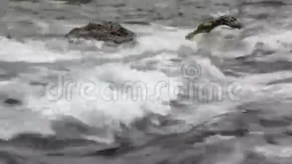 山河在石头间流淌视频的预览图
