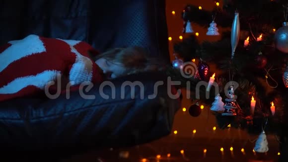 一个小女孩晚上睡在圣诞树地毯下的沙发上视频的预览图