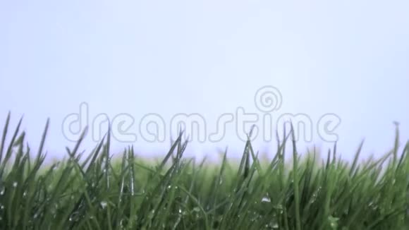 草地和蓝天上的梦幻屋视频的预览图