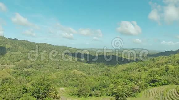 菲律宾丛林和森林鸟瞰图2视频的预览图