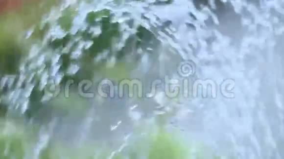 公园喷泉水流缓行视频的预览图