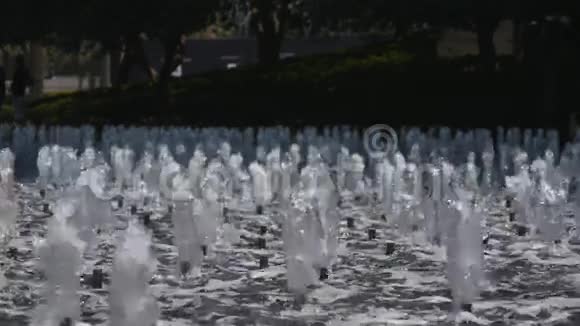 喷泉中的喷水池视频的预览图