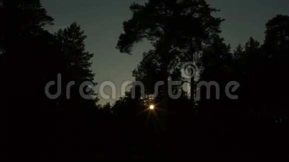 太阳在黑暗的森林里下山视频的预览图