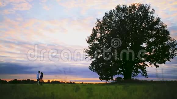 年轻夫妇在田野里夕阳的背景下接吻视频的预览图