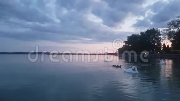 匈牙利的巴拉顿湖视频的预览图