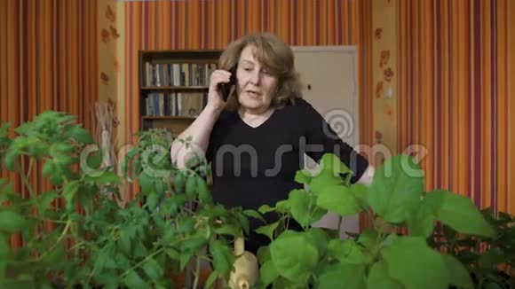 在电话里说话的漂亮老太太她种了极好的幼苗她打电话给她的朋友讲述他们的成功视频的预览图