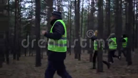 一群身穿绿色背心的志愿者在松林中寻找失踪人员视频的预览图