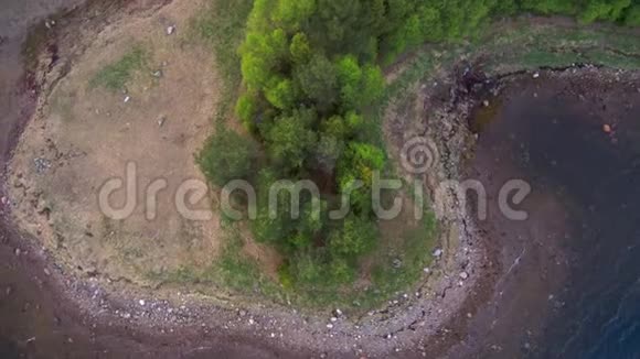 无人机沿海湾海岸的跨度岸上的森林北部景观视频的预览图