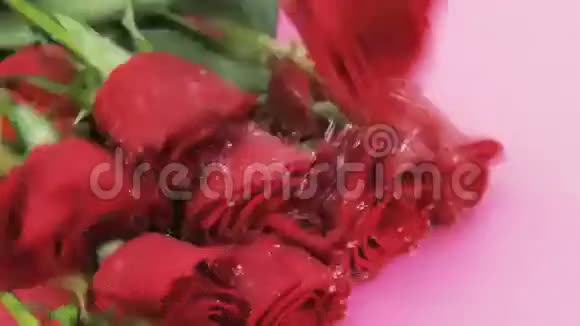 湿红玫瑰倒下视频的预览图