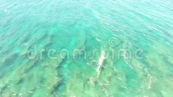 顶级的4k空中无人机摄像头专业的风力机在平静的蓝色海水中滑行夏威夷海景视频的预览图