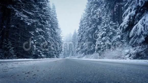 在降雪时穿过森林路视频的预览图