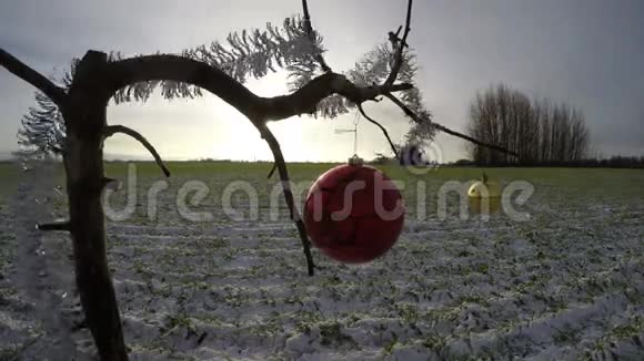4K风中树枝上的两只圣诞视频的预览图