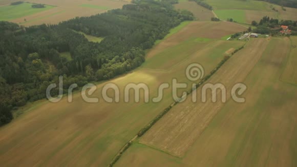 秋天的乡村风景田野农业景观视频的预览图