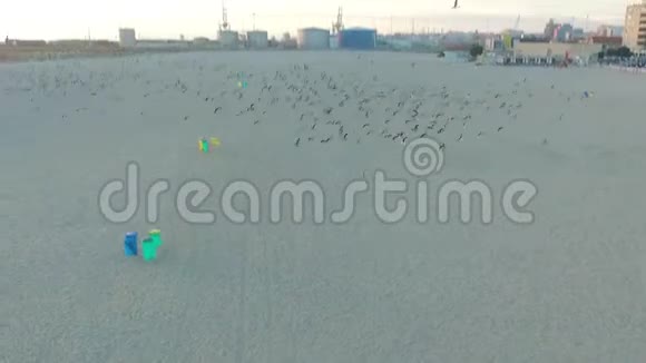 在波尔图的大西洋海岸飞过海鸥空中飞行视频的预览图