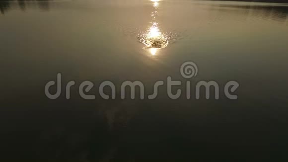 在风景如画的夕阳下拍摄一个湖和一个游泳的人视频的预览图