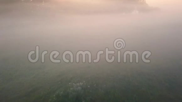浓雾笼罩着河流和草地从薄雾中飞过视频的预览图